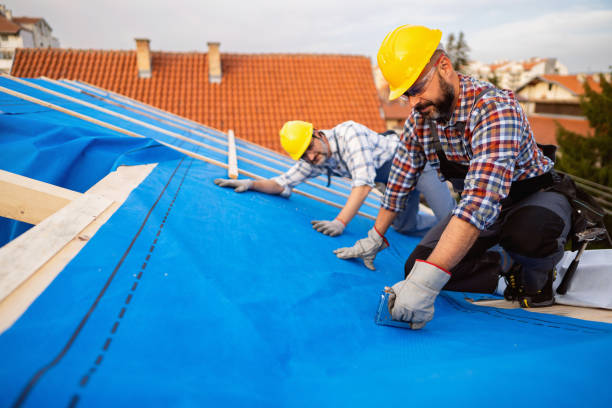 Best Roof Gutter Cleaning  in Pleasureville, PA